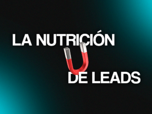 nutrición de leads